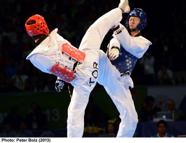 LEE, Dae-Hoon : Taekwondo Data